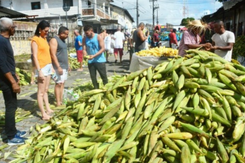 Procon-JP encontra variação de 50% no preço da mão de milho e produto chega a custar R$ 60