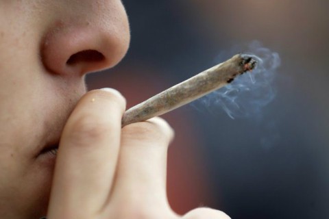 Maconha: advogado explica quando posse de 40 gramas ainda pode ser considerada tráfico; entenda