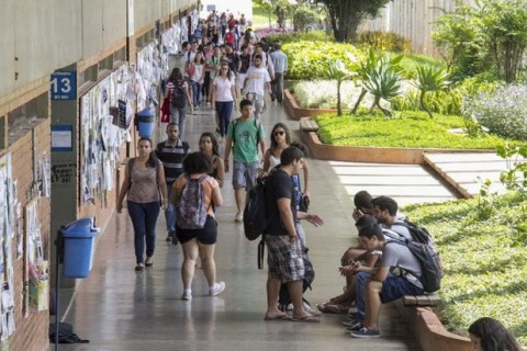 MEC ofertará 80 mil bolsas a estudantes de cursos de licenciatura