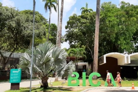 Idoso é preso por suspeita de mostrar partes íntimas para visitantes da Bica