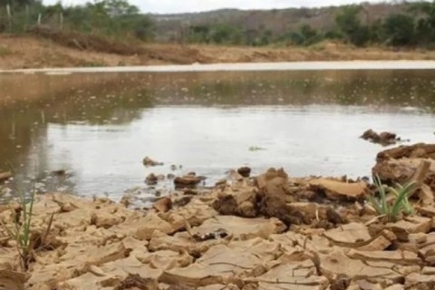 Estado e 188 cidades da PB devem apresentar plano de combate à desertificação em 45 dias