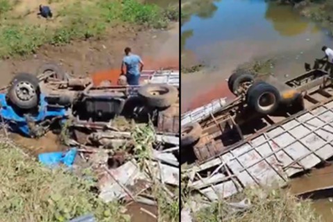 VÍDEO: Caminhão Boiadeiro capota na região de Patos, vários animais morrem e motorista fica ferido